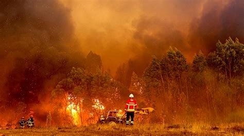 feuer algarve|Portugal battles wildfires amid third heatwave of the year